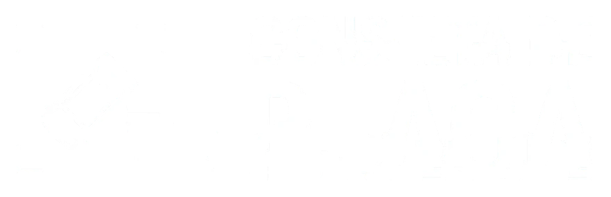 Consulta de Placa