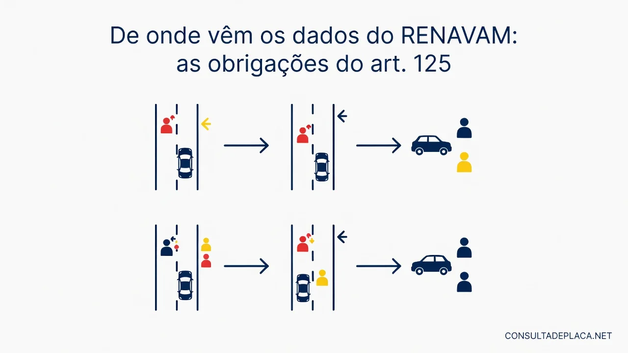 De onde vêm os dados do RENAVAM: as obrigações do art. 125 do CTB
