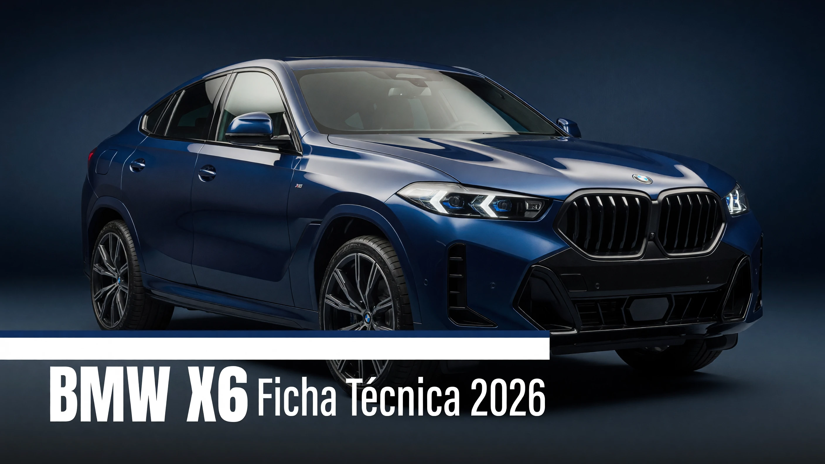Ficha Tecnica BMW X6: Motor, Potencia, Consumo e Versoes 2026